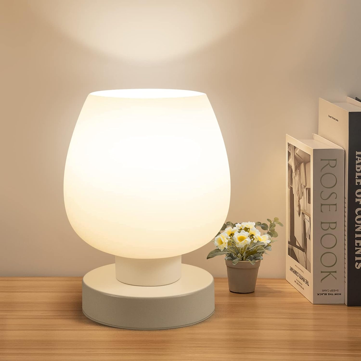 Touch Bedside Table Lamps Set of 2 - Modern Nightstand Lamps with USB C & A Ports, 3-Way Dimmable, White Opal Glass Shades, 3000K LED Bulbs - Elegant Bedroom Lighting FJORD