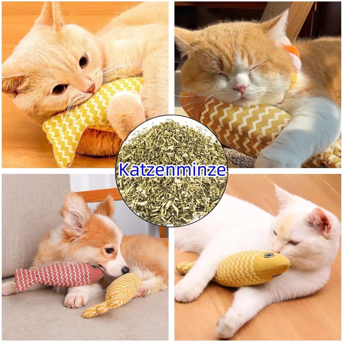 6 Pack Plush Cat Chew Toys – Durable, Interactive & Catnip-Infused FJORD